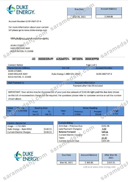 USA North Carolina Duke Energy utility bill template in Word and PDF format